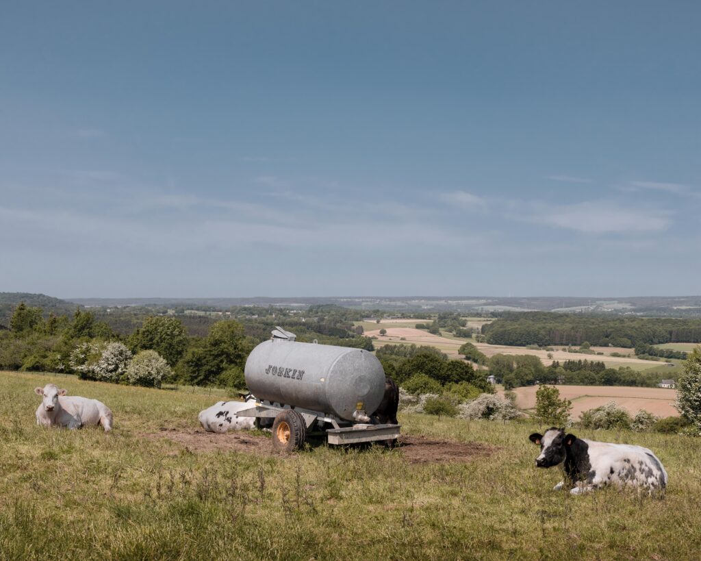 34fba23c-a5cb-482d-8bcb-c554b086b53e